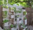 Jardin Des Plantes D Angers Frais 170 Best Garden Crafting Images