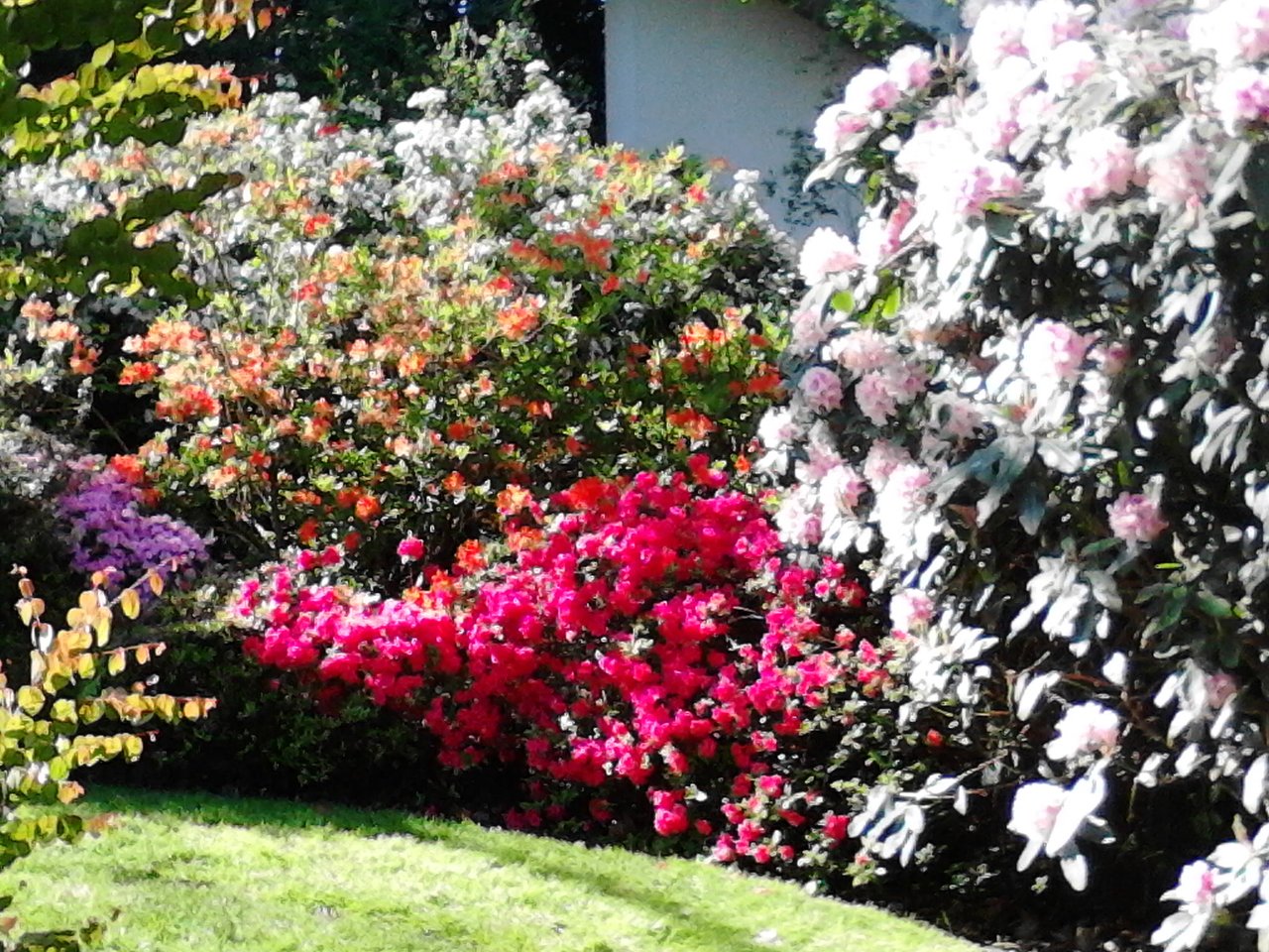 Jardin Des Plantes D Angers Luxe Jardin Des Plantes Angers 2020 All You Need to Know