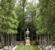 Jardin Des Plantes De Caen Inspirant 390 Best formal Gardens Images