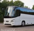 Jardin Des Plantes De Lille Luxe Busworld Busworld