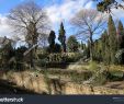 Jardin Des Plantes De Montpellier Beau Panoramic View Botanical Garden Montpellier France Stock