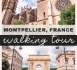 Jardin Des Plantes De Montpellier Best Of Free & Self Guided Montpellier Walking tour southern France