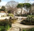 Jardin Des Plantes De Montpellier Best Of Le Jardin Des Plantes tourisme Montpellier