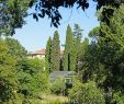 Jardin Des Plantes De Montpellier Frais File Le Jardin Des Plantes Montpellier