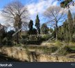 Jardin Des Plantes De Montpellier Frais Panoramic View Botanical Garden Montpellier France Stock