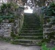 Jardin Des Plantes De Montpellier Inspirant 82 Best Le Jardin Des Plantes De Montpellier 1593 Images