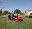 Jardin Des Plantes De Montpellier Inspirant Entretien Jardin Montpellier tonte Pelouse