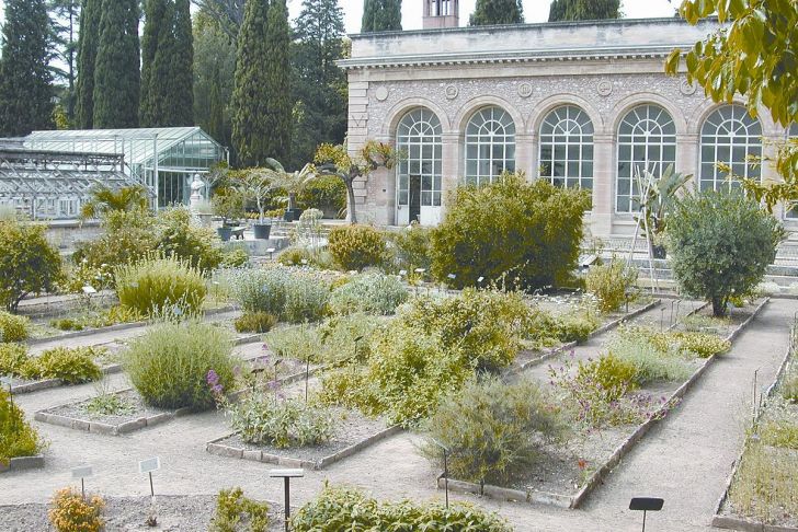 Jardin Des Plantes De Montpellier Inspirant Jardin Des Plantes De Montpellier