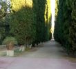 Jardin Des Plantes De Montpellier Luxe Jardin Des Plantes Montpellier Updated 2020 All You Need