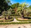 Jardin Des Plantes De Montpellier Luxe the Jardin Des Plantes De Montpellier is A Public Botanical Garden