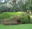 Jardin Des Plantes De Nantes Charmant File Claude Ponti Au Jardin Des Plantes Le Voyage   Nantes