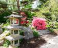 Jardin Des Plantes De Nantes Frais Japanese Garden On the island Of Versailles – Nantes