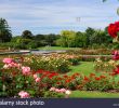 Jardin Des Plantes Lille Frais nord Dep Stock S & nord Dep Stock Page 6 Alamy