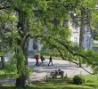 Jardin Des Plantes orleans Frais Inspiring Of Paris In the Springtime