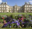 Jardin Des Plantes orleans Luxe Inspiring Of Paris In the Springtime