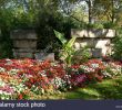 Jardin Des Vestiges Marseille Beau Auguste Henri Stock S & Auguste Henri Stock Alamy