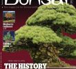 Jardin Des Vestiges Marseille Best Of Esprit Bonsai International October November 2017 Pdf