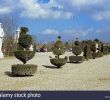 Jardin Du Chateau De Versailles Beau topiary In the Gardens Of Chateau De Versailles Near Paris