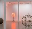 Jardin Du Kohistan Luxe Mona Hatoum at Galerie Chantal Crousel Paris France On 12