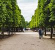 Jardin Du Luxembourg Plan Élégant the Jardin Des Tuileries In Paris A Royal Gem