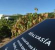 Jardin Du Thé Grenoble Best Of Museo Del Vino Pagos Del Rey Winy Fog