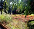 Jardin En Ville Charmant Jardin Dominique Alexandre Godron Garden Nancy 2020 All