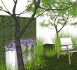 Jardin Exotique Roscoff Beau 100 [ Jardin Exotique ]