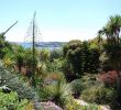 Jardin Exotique Roscoff Charmant 100 [ Jardin Exotique ]