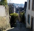 Jardin Exotique Roscoff Génial Les 58 Meilleures Images De Bretagne