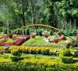 Jardin Jardinier Frais Rose Gardens Munnar 2020 Ce Qu Il Faut Savoir Pour Votre