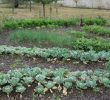 Jardin Jardinier Luxe Le Potager Bioinspiré Un Jardin Nourricier En Permaculture