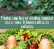 Jardin Jardinier Unique épinglé Par Med Bennis Sur Multiplications Plantes En 2020