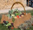 Jardin Jardinier Unique Vieilles Pierres Jeunes Plantes   Saint Marcel De Félines