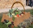 Jardin Jardinier Unique Vieilles Pierres Jeunes Plantes   Saint Marcel De Félines