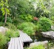 Jardin Jungle Best Of Japanese Garden On the island Of Versailles – Nantes