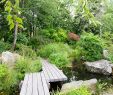 Jardin Jungle Best Of Japanese Garden On the island Of Versailles – Nantes