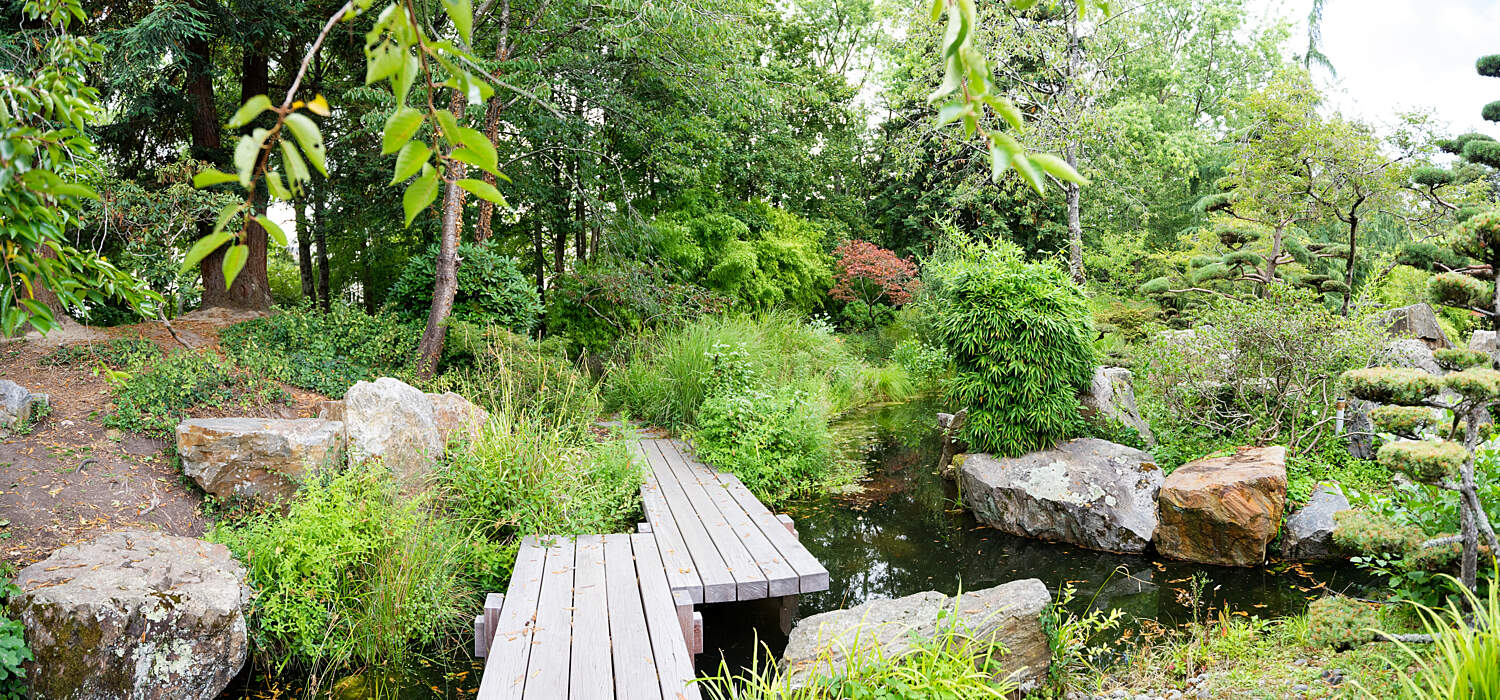 filenantes ile de versailles jardin japonais 19 big