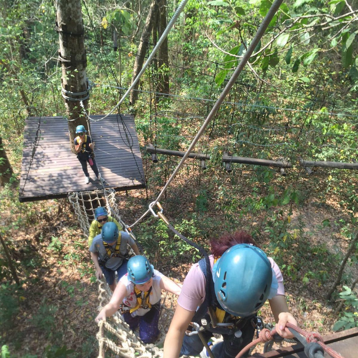 Jardin Jungle Charmant Flying Gibbons Jungle Leap attractions 138 25 Chiang