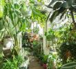 Jardin Jungle Élégant 65 Awesome Home Indoor Jungle Design Ideas Awesome Design