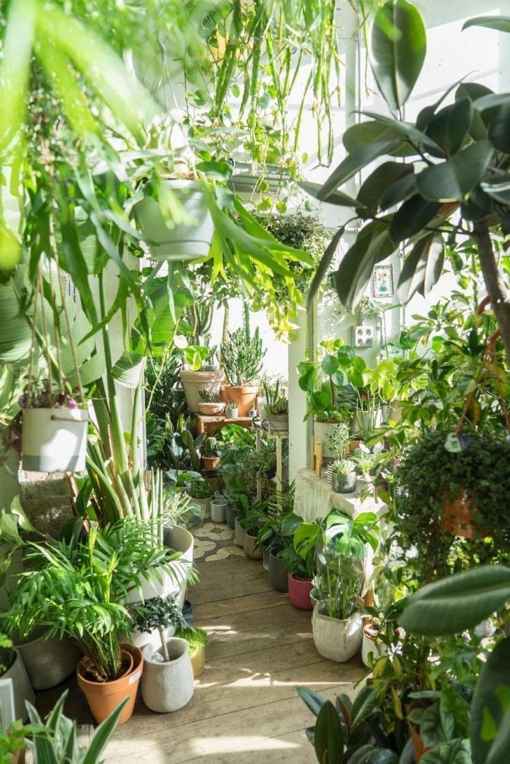 Jardin Jungle Élégant 65 Awesome Home Indoor Jungle Design Ideas Awesome Design