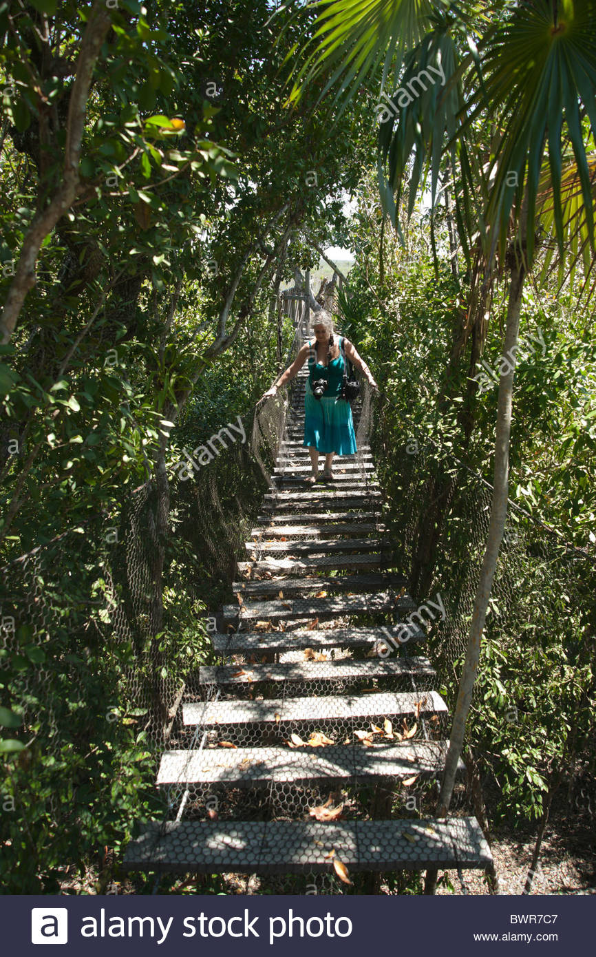 mexico yucatan cancun jardin botanico dr alfredo barrera martin near BWR7C7