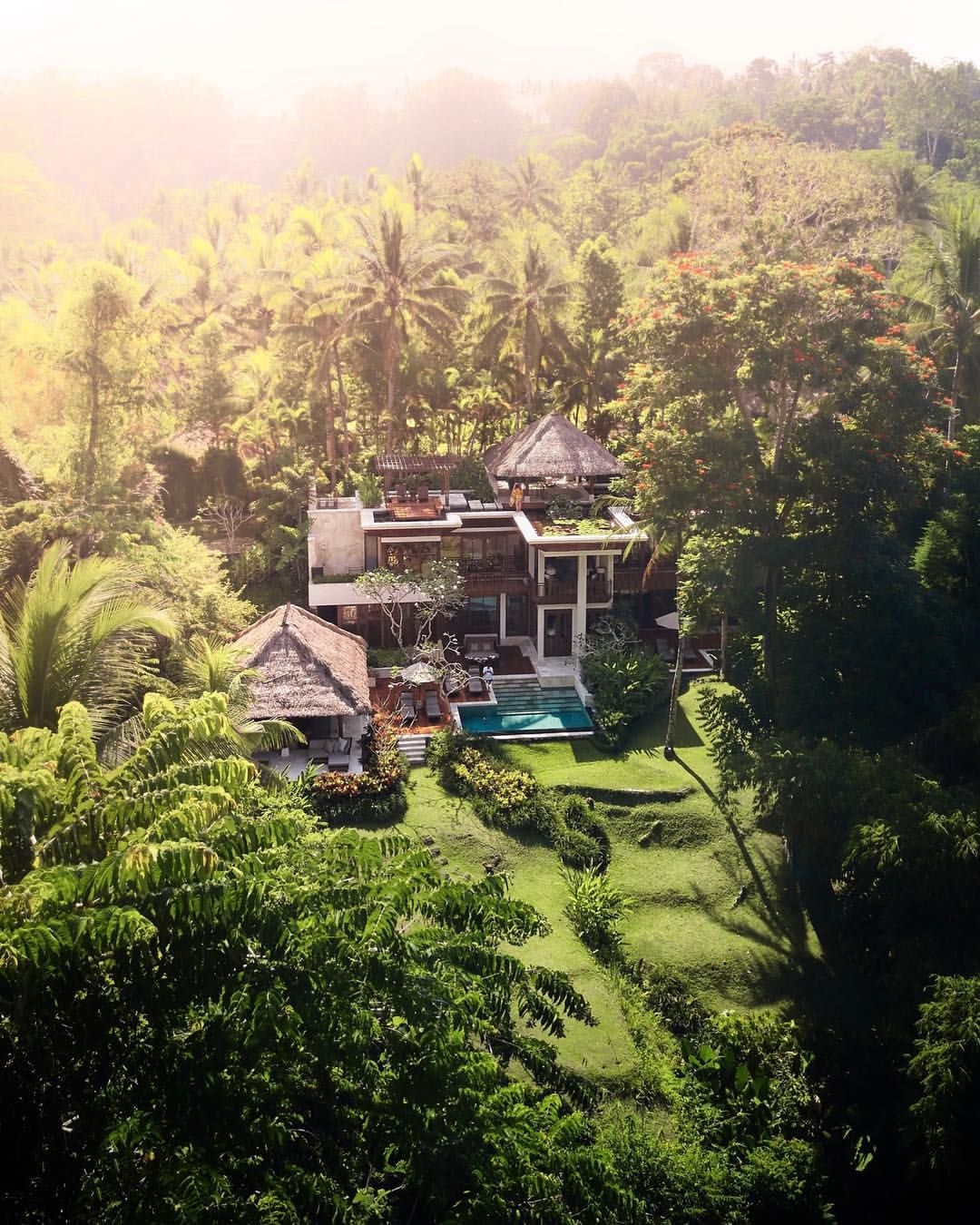 Jardin Jungle Élégant Live for that Jungle Life Fsbali Tag someone You Would