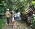 Jardin Jungle Frais Jardin Botanico De Cupaynicu Bayamo 2020 All You Need to