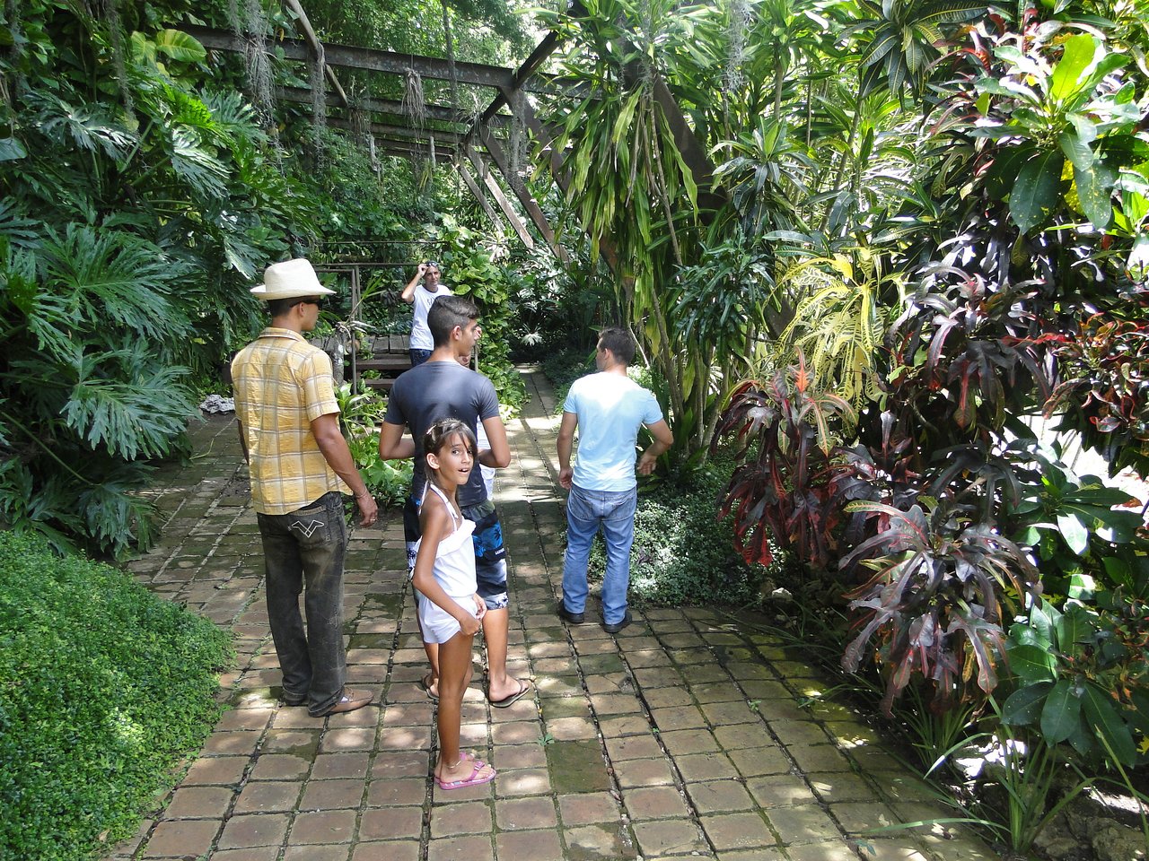 Jardin Jungle Frais Jardin Botanico De Cupaynicu Bayamo 2020 All You Need to