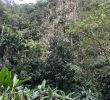 Jardin Jungle Inspirant Palenque De Los Cimarrones Vinales 2020 All You Need to