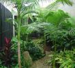 Jardin Jungle Unique 10 Awesome Ideas How to Craft Small Tropical Backyard Ideas