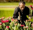 Jardin Keukenhof Charmant Spring Flowers now Blooming at Holland S Keukenhof Gardens