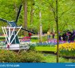 Jardin Keukenhof Élégant Keukenhof Lisse Netherlands Apr 28th 2019 Famous