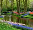 Jardin Keukenhof Génial Keukenhof Lisse