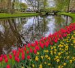 Jardin Keukenhof Génial Our Visit to Amsterdam and Keukenhof In April Mom In Zurich